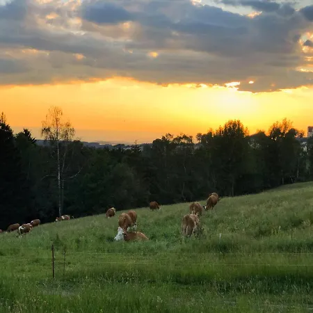 Bergheim Container Loft Alojamento de Turismo Selvagem *