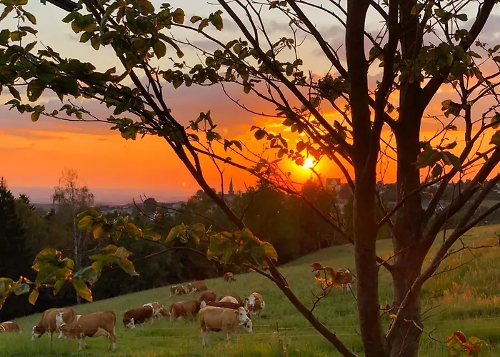 Bergheim Container Loft *