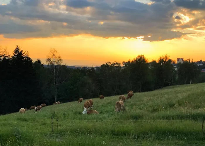 Bergheim Container Loft 롯지 *