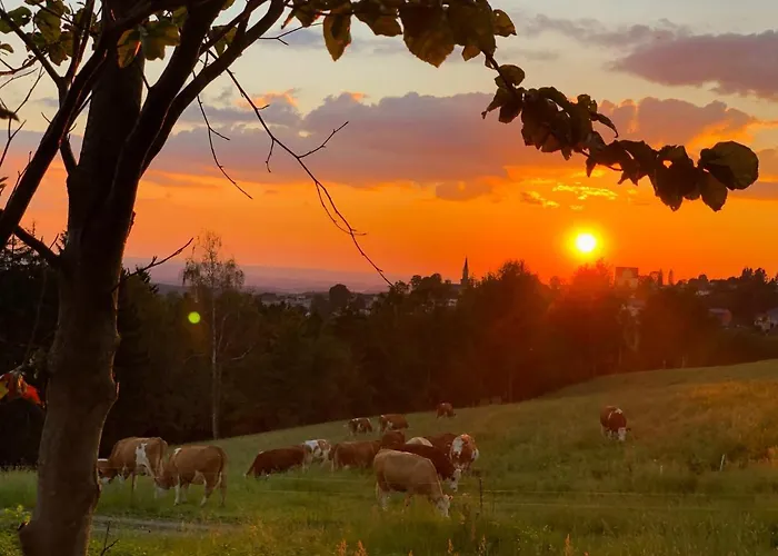 Bergheim Container Loft 쇼넥
